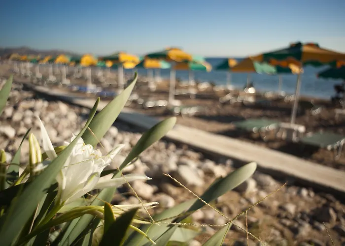 Irene Palace Beach Resort